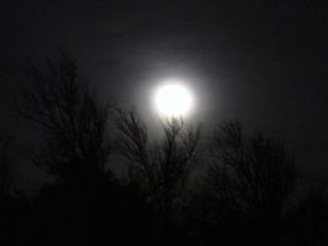 This is the full moon from Friday, June 13, 2014 as it rises over Arroyo City, Texas